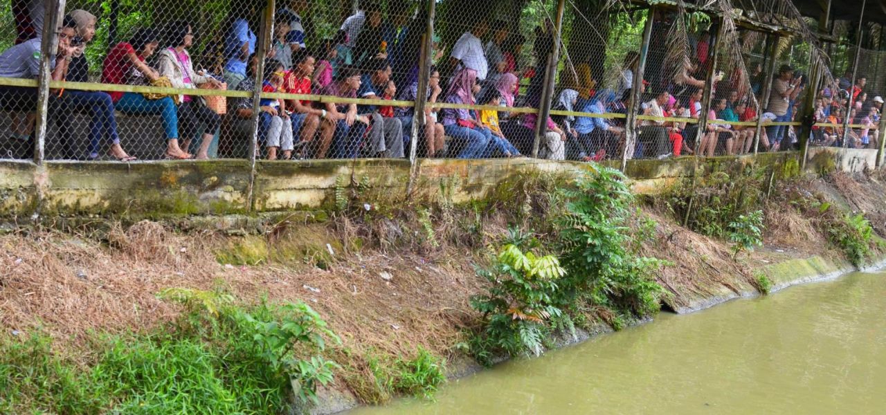 Посетители заняли свои места перед шоу кормления на крокодиловой ферме в Кучинге
