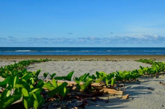 Пляж Сематан находится на расстоянии 100км от Кучинга